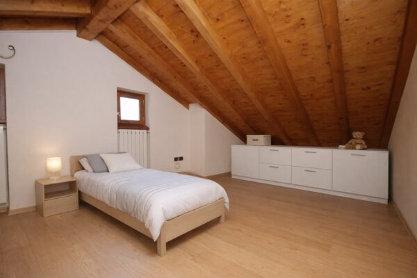 Pettirosso2 Large