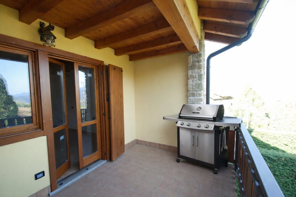 Pettirosso3 Large Pettirosso3 Large