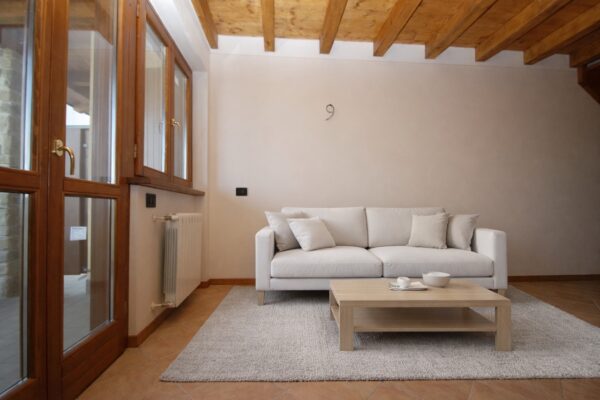 Pettirosso5 Large