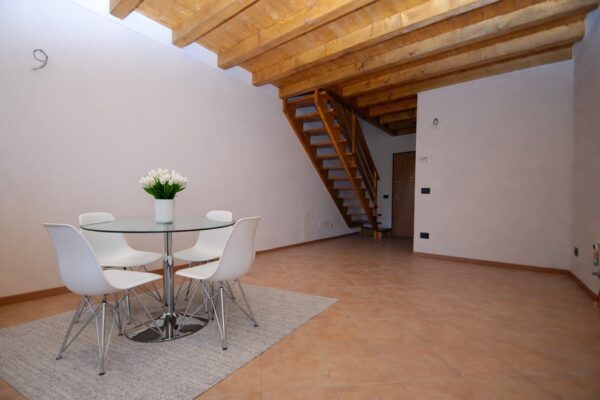 Pettirosso8 Large